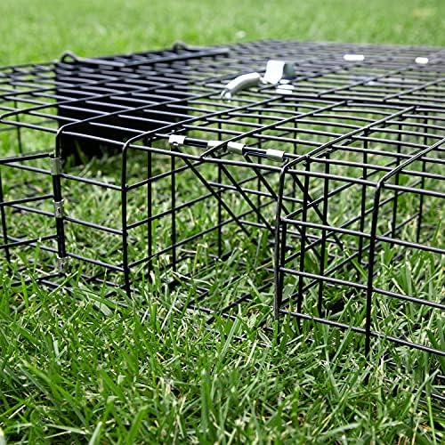 2025 Rugged Ranch Squirrelinator 2 Door Small Metal Wire Multi-Catch Live Animal Squirrel Catch & Release Cage Trap for Pest Control  Black