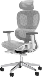 Ergo3D Ergonomic Office Chair �� High Back Mesh Desk Chair with 3D Adjustable Armrests, Wheels, for Home and Office (Black)