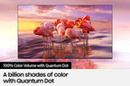 SAMSUNG 32-inch klasse QLED Q60A-serie - 4K UHD Dual LED Quantum HDR Smart TV met Alexa ingebouwd (QN32Q60AAFXZA, model 2021)