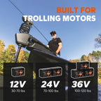 LiTime 12V 100Ah TM LiFePO4 Lithium Battery