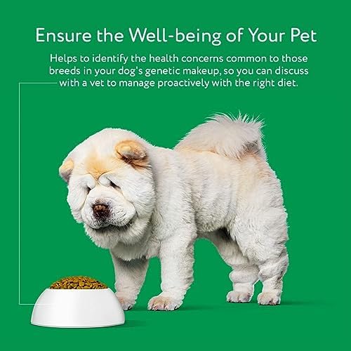 Dna My Dog Essential Test – Breed ID Test Mixed Breed Identification Personality Traits for Puppies to Adult Dogs Non-Invasive Cheek Swab