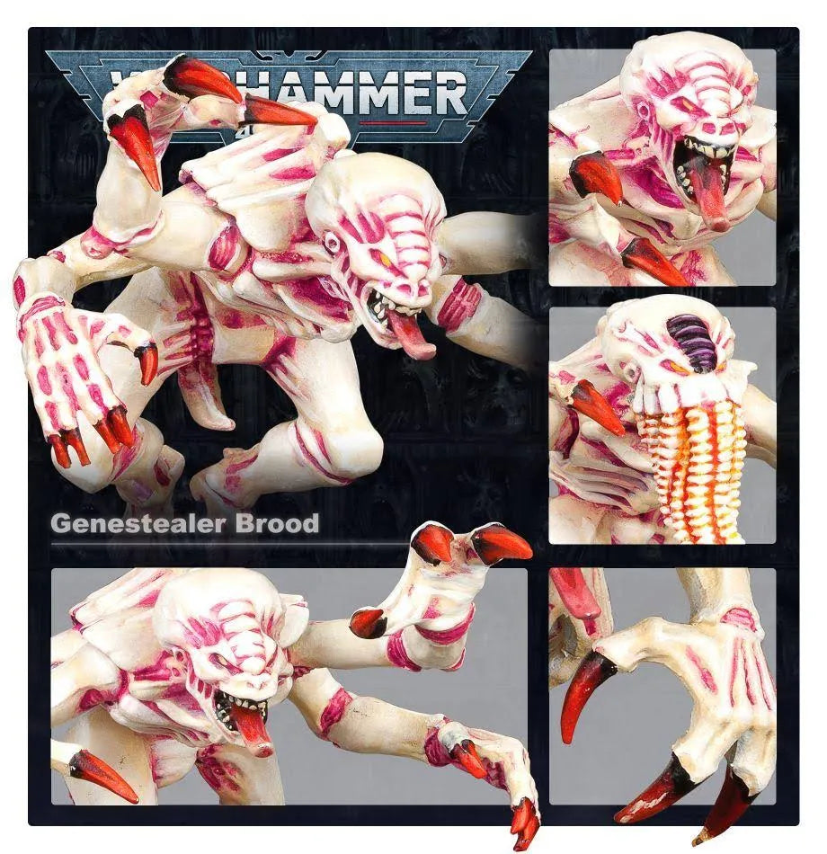Warhammer 40K Tyranids Battleforce Brood Swarm