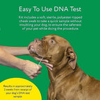 Dna My Dog Essential Test – Breed ID Test Mixed Breed Identification Personality Traits for Puppies to Adult Dogs Non-Invasive Cheek Swab