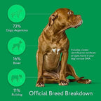 2025 Dna My Dog Essential Test – Breed ID Test Mixed Breed Identification  Personality Traits  for Puppies to Adult Dogs  Non-Invasive Cheek Swab