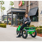 Addmotor Motan Electric Tricycle Adult, 750W 48V 17.5Ah Removable Battery, 20 Inch Fat Tire 3 Wheel Fat Tire Electric Bike, M-360 Electric Tricycle 350 lbs Carry Back Basket and Bag