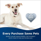 Bissell Spotbot Pet Handsfree Spot And Stain Cleaner, 33N8A