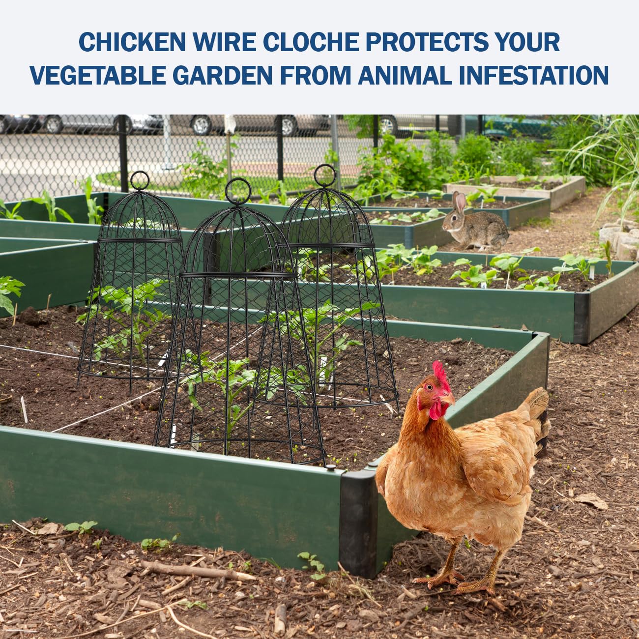 Yolid Garden Cloches for Plants Set of 6, Chicken Wire Cloche Plant