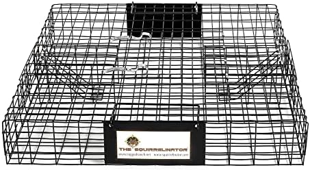 2025 Rugged Ranch Squirrelinator 2 Door Small Metal Wire Multi-Catch Live Animal Squirrel Catch & Release Cage Trap for Pest Control  Black