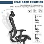 SUNNOW Ergonomic Office Chair, Mesh Computer Desk Chair , High Back Executive Task Chair
