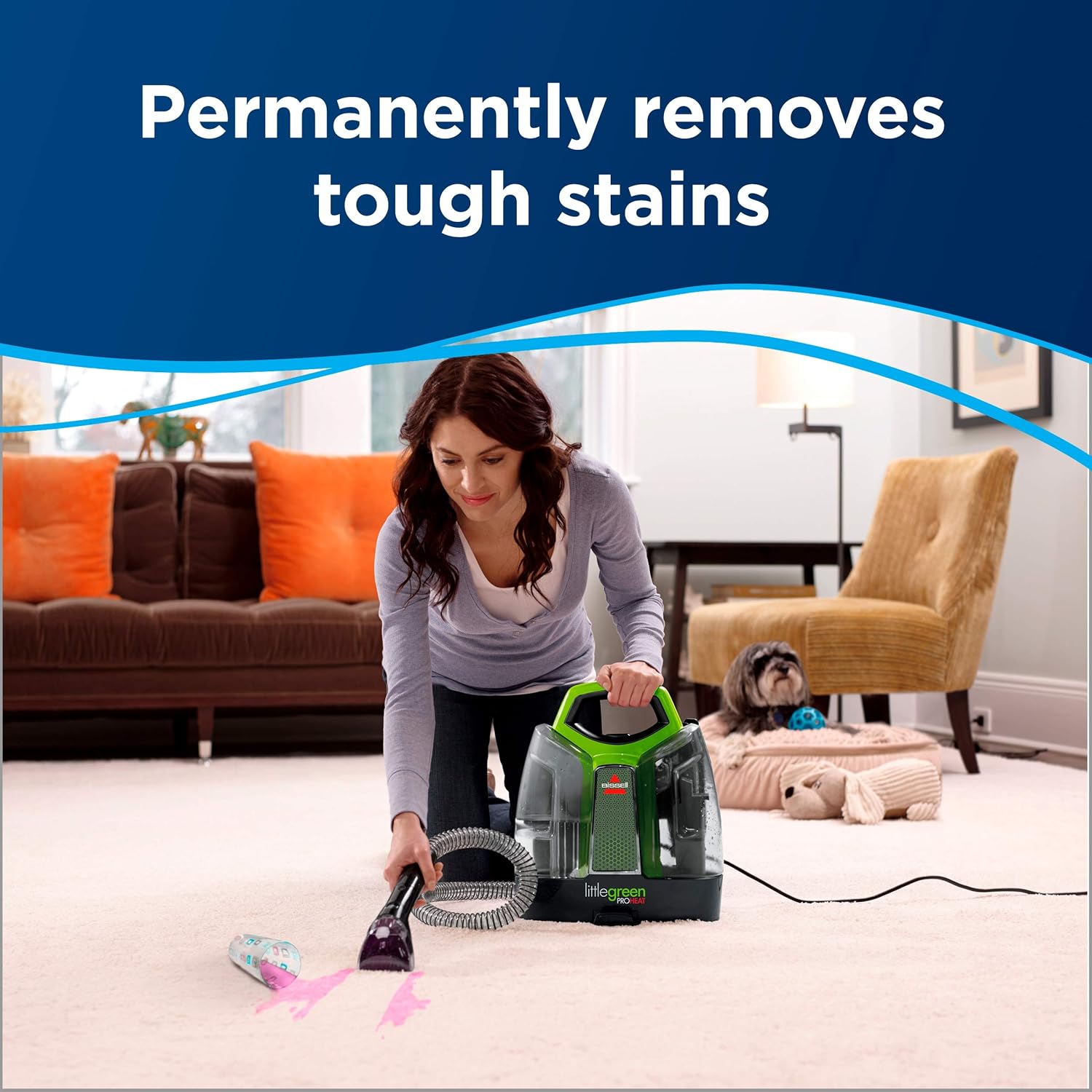 BISSELL Little Green Proheat Portable Deep Cleaner/Spot Cleaner and Car/Auto Detailer
