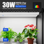Barrina Mini Greenhouse with LED Grow Light for Indoor Plant, 4-Tier Portable Metal Plant Stand with Wheels, Plant Shelf with Tent, 6Pcs Plant Light with Timer and Thermo-Hygrometer, 35.4x13.8x59IN