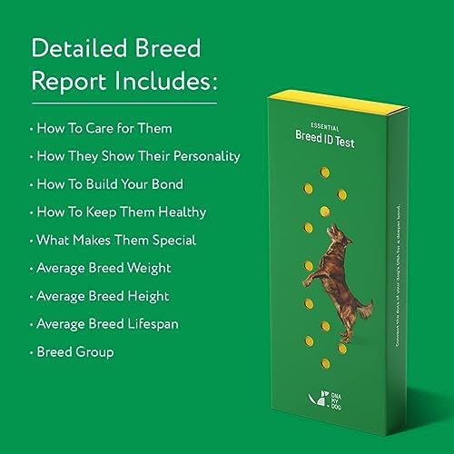 2025 Dna My Dog Essential Test – Breed ID Test Mixed Breed Identification  Personality Traits  for Puppies to Adult Dogs  Non-Invasive Cheek Swab