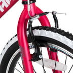 JOYSTAR Lubbock 20" 24" Kids Mountain Bike Single Speed Bicycle