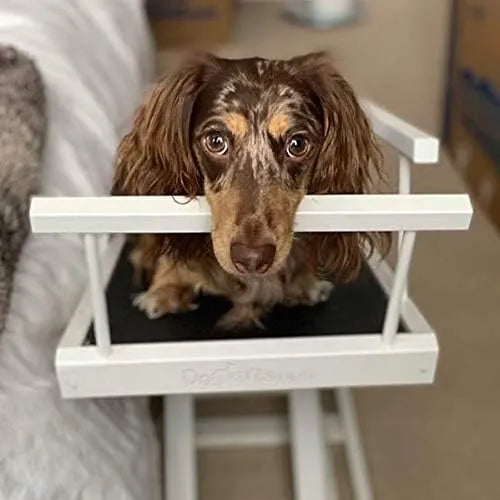 Dog Ramp for Beds - Adjustable up to 37" High Beds with Low Incline, Safety Rails & Anti-Slip Grip, for Small Dogs up to 50lbs - Solid Hardwood, Made in North America