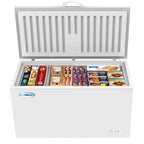 60 in. Commercial Chest Freezer 16 Cu ft.