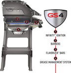Weber 45010001 Spirit II E-310 3-Burner Liquid Propane Grill, Black