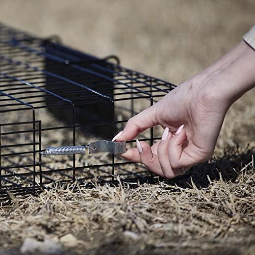 2025 Rugged Ranch Squirrelinator 2 Door Small Metal Wire Multi-Catch Live Animal Squirrel Catch & Release Cage Trap for Pest Control  Black