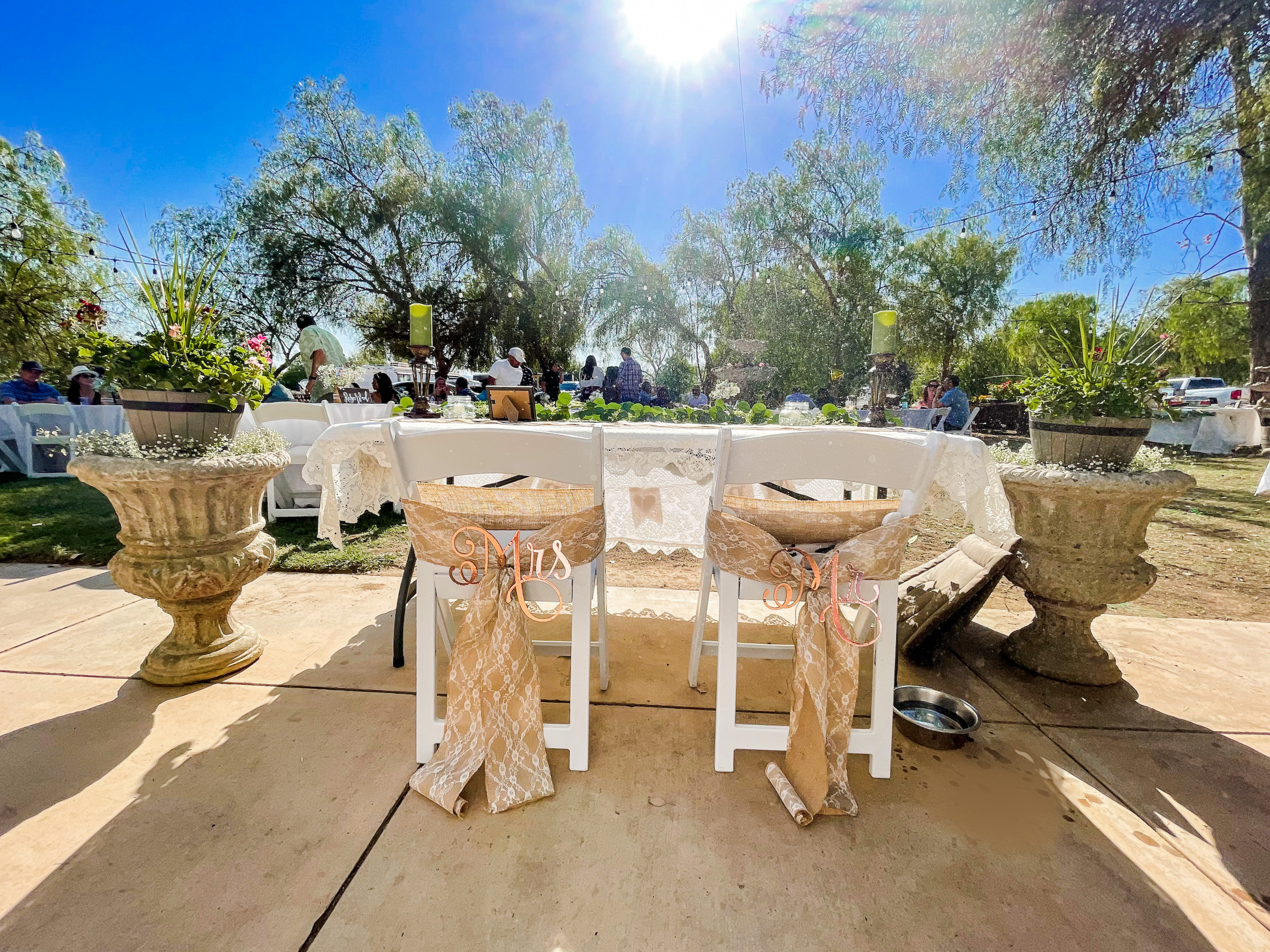 Mr. & Mrs. Chairbacks
