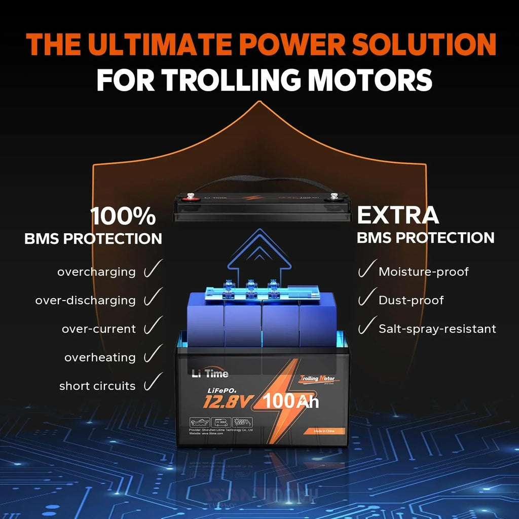 LiTime 12V 100Ah TM LiFePO4 Lithium Battery